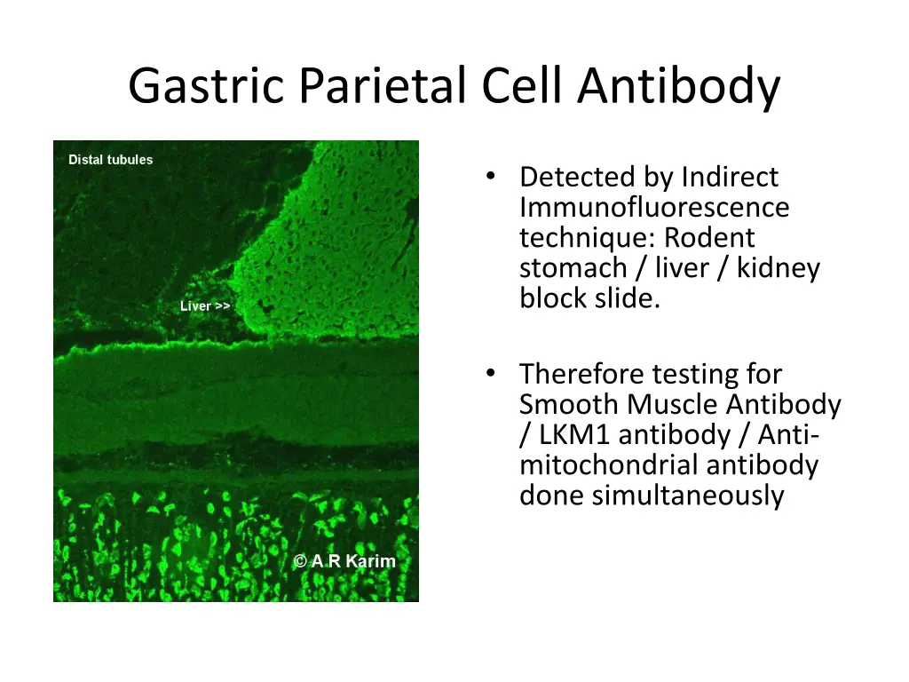 gastric parietal cell antibody