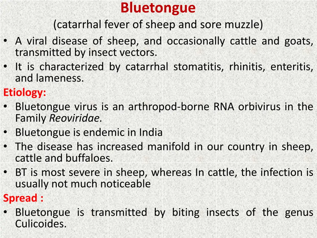 bluetongue