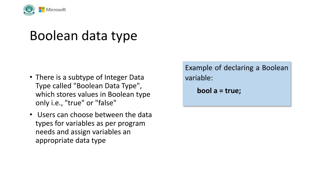 boolean data type