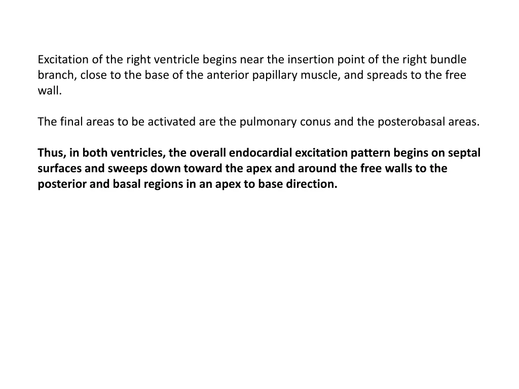 excitation of the right ventricle begins near