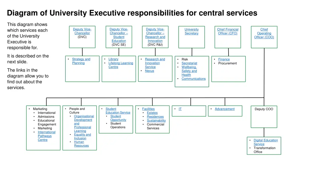 diagram of university executive responsibilities