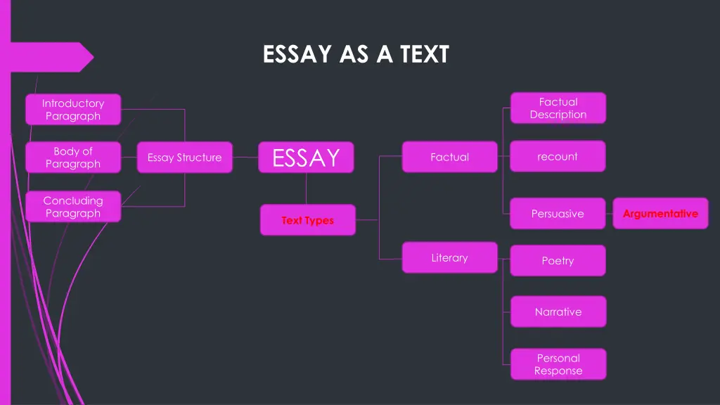 essay as a text