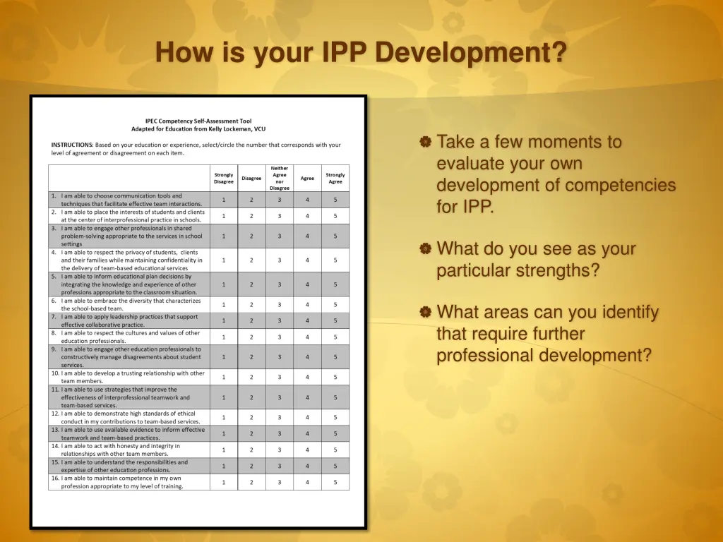 how is your ipp development