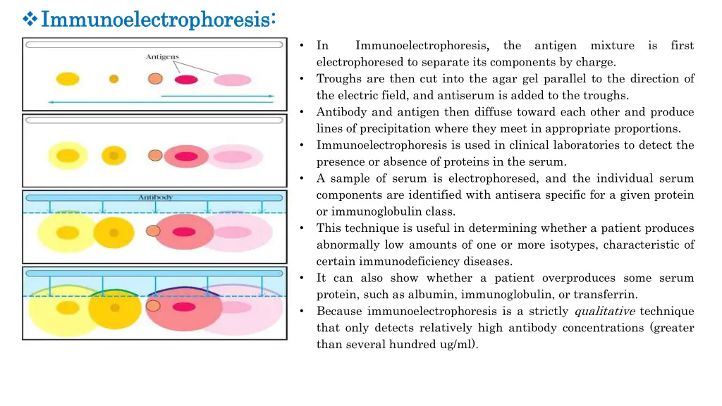 immunoelectrophoresis immunoelectrophoresis