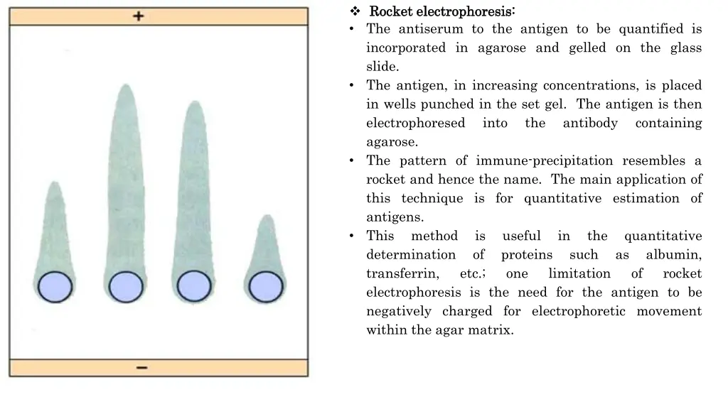 rocket rocket electrophoresis electrophoresis