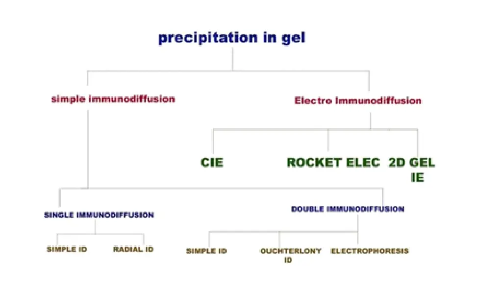 slide10