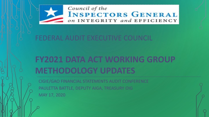 federal audit executive council