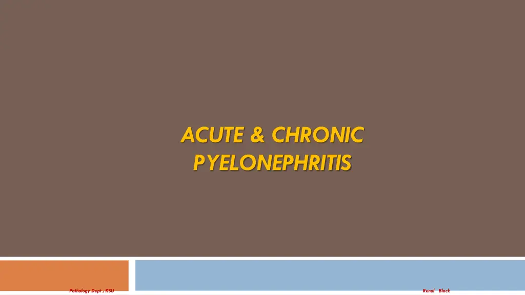 acute chronic pyelonephritis