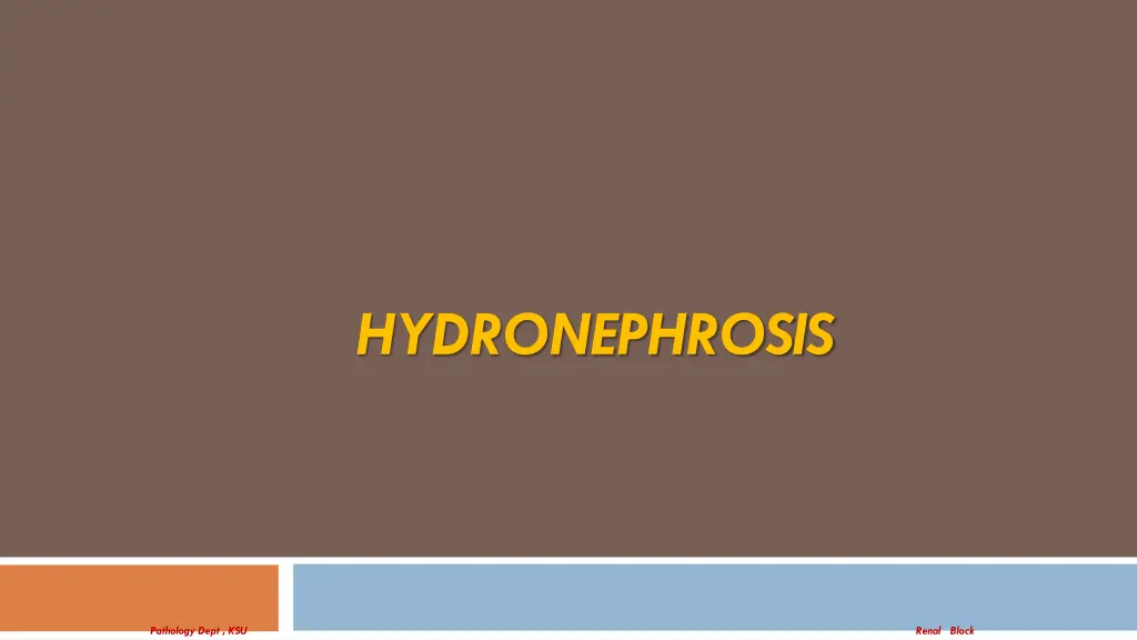 hydronephrosis