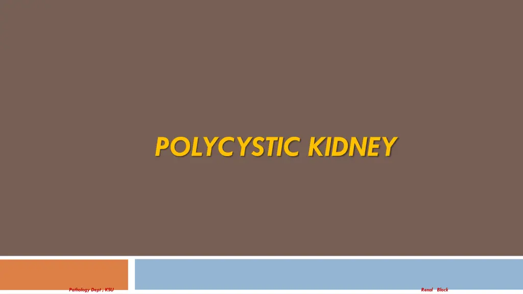 polycystic kidney