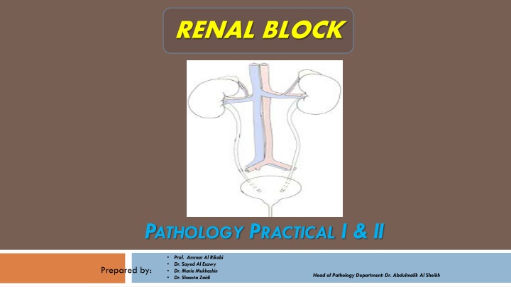 renal block