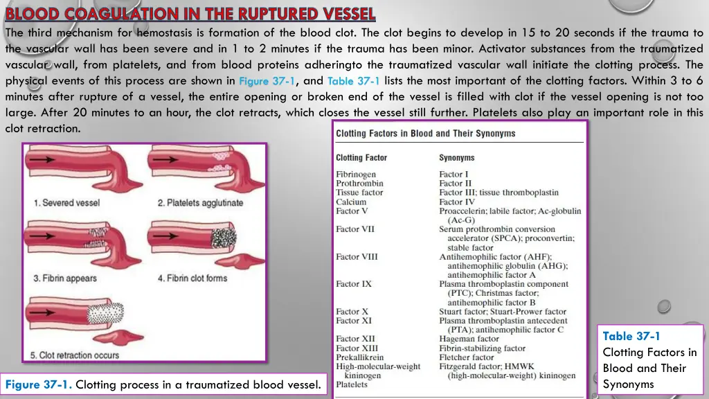 blood coagulation in the ruptured vessel