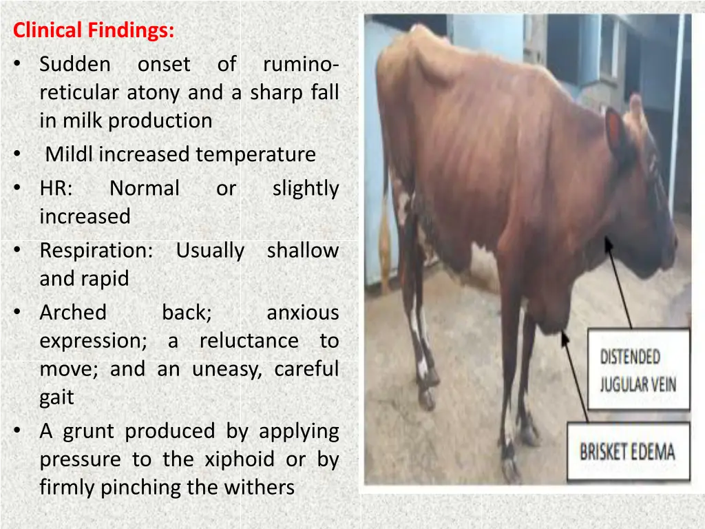 clinical findings sudden onset of rumino