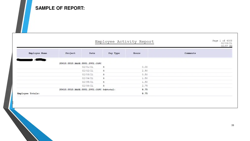 sample of report