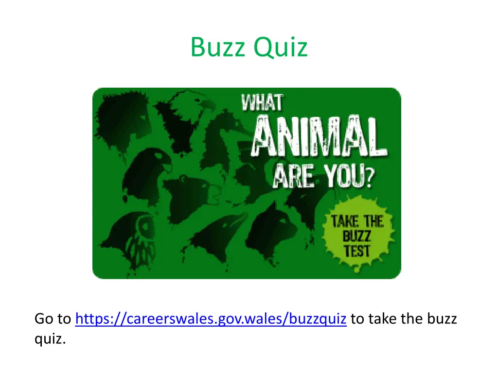 buzz quiz