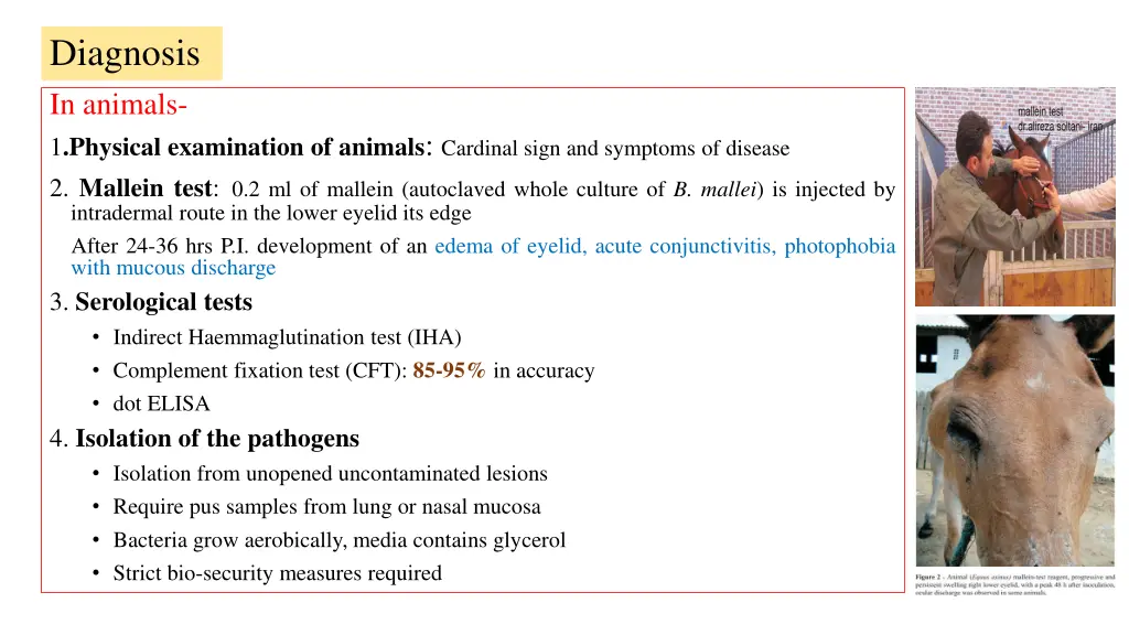 diagnosis in animals 1 physical examination