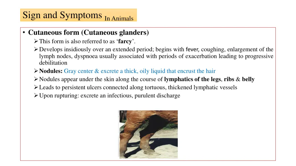 sign and symptoms in animals 2