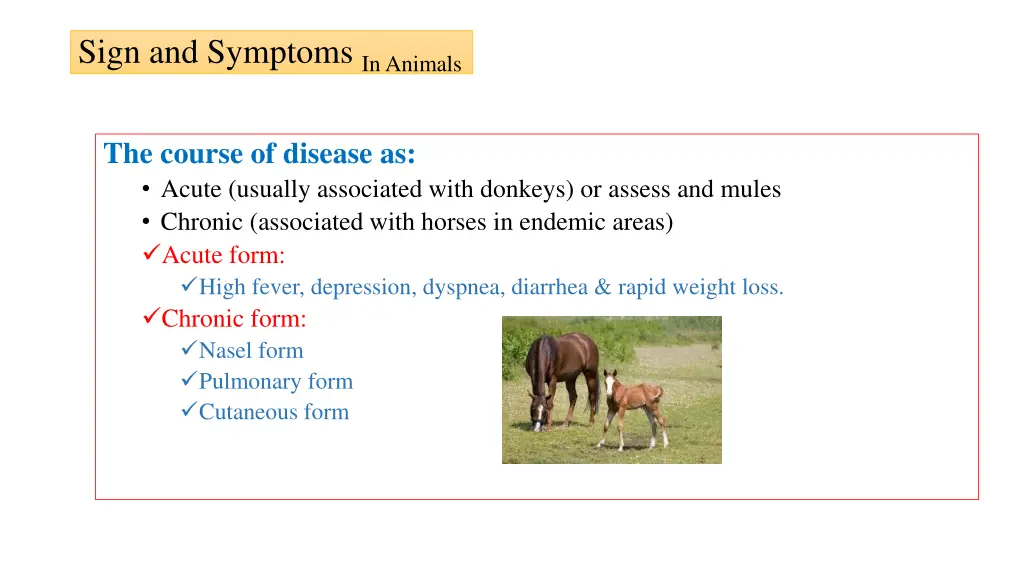 sign and symptoms in animals