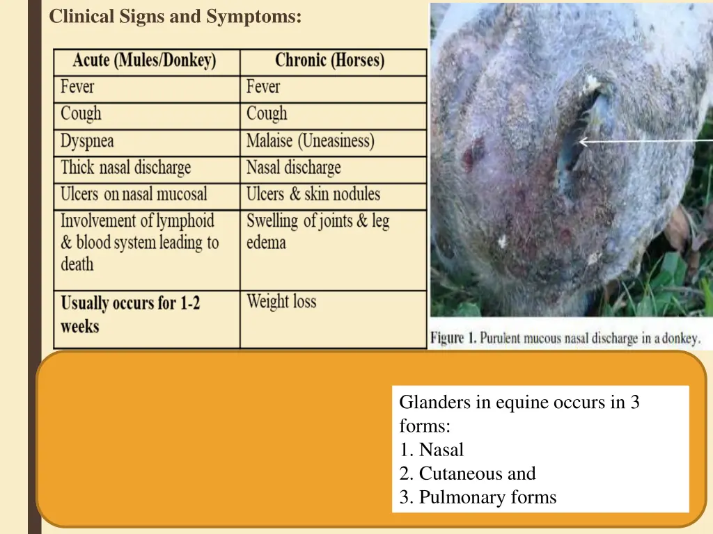 clinical signs and symptoms