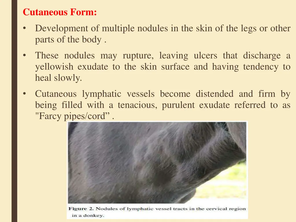 cutaneous form development of multiple nodules