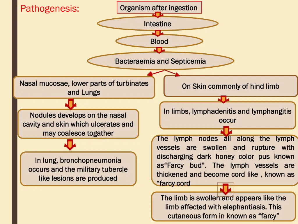 pathogenesis