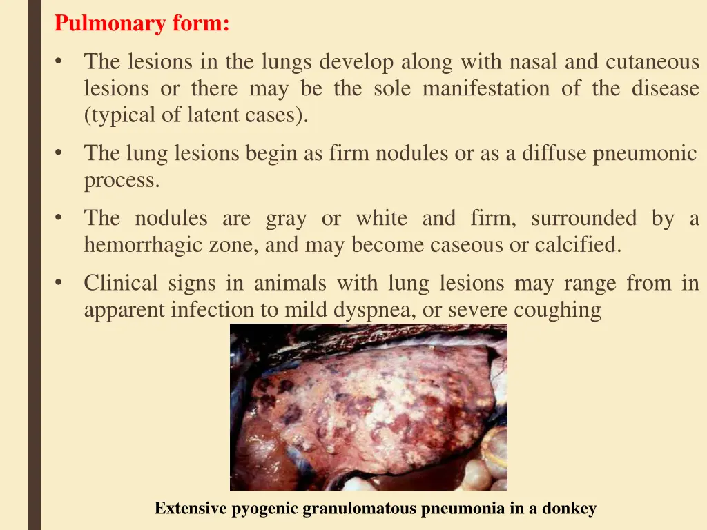 pulmonary form the lesions in the lungs develop