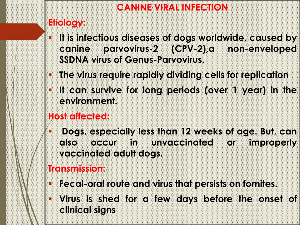 canine viral infection