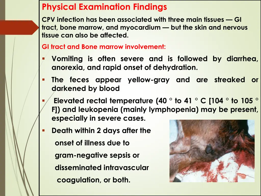 physical examination findings