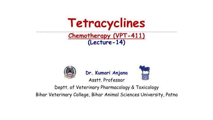 tetracyclines chemotherapy vpt 411 lecture 14