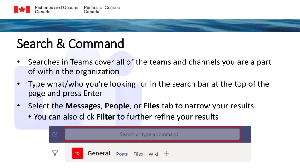 search command search command