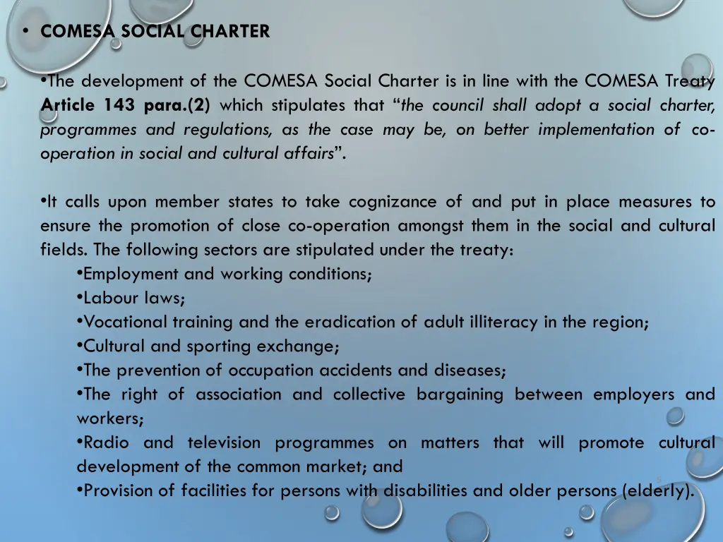 comesa social charter