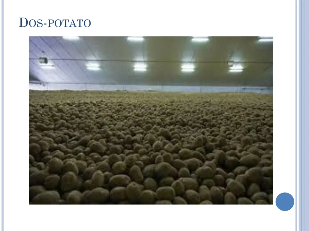 d os potato