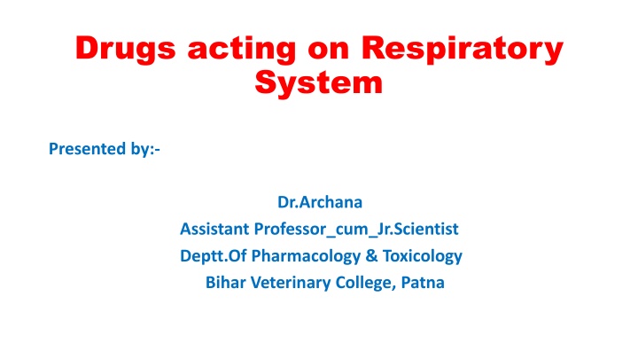 drugs acting on respiratory system