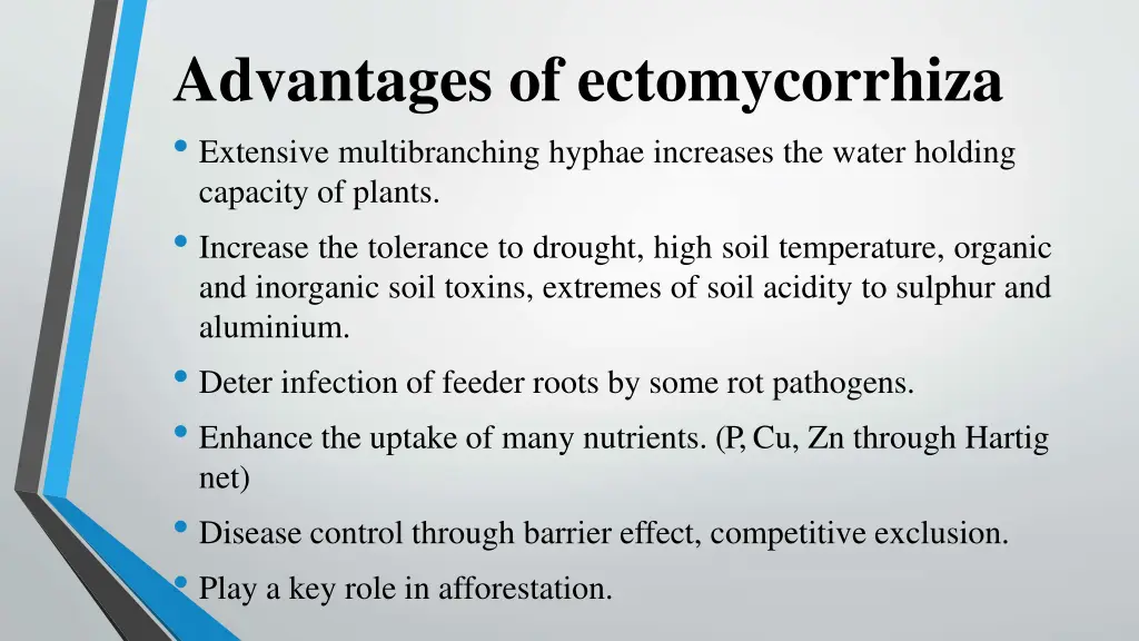 advantages of ectomycorrhiza extensive