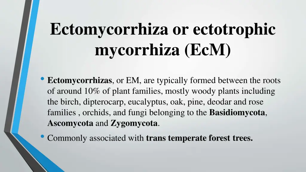 ectomycorrhiza or ectotrophic mycorrhiza ecm