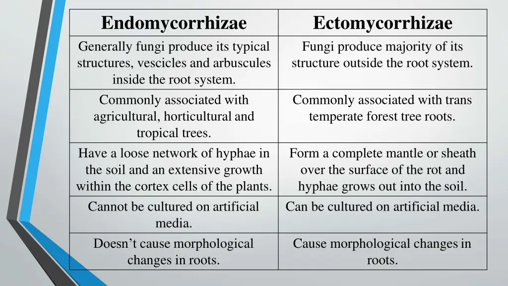 endomycorrhizae generally fungi produce