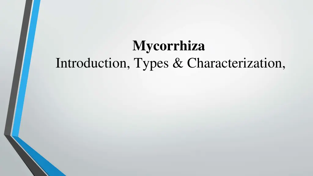 mycorrhiza