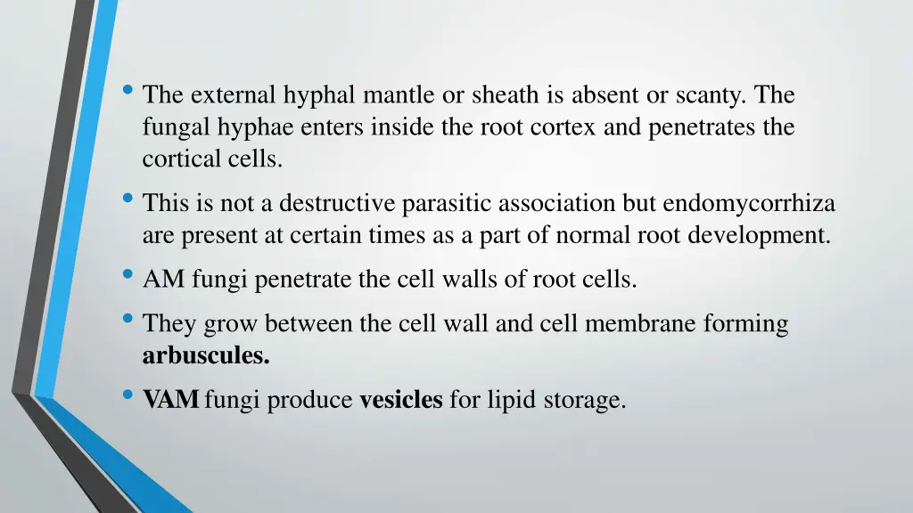 the external hyphal mantle or sheath is absent