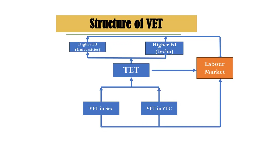 organogram organogram structure of vet structure