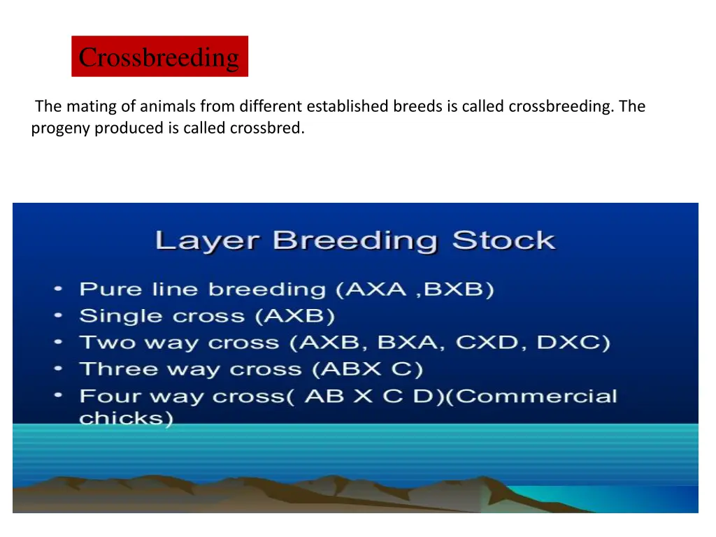 crossbreeding