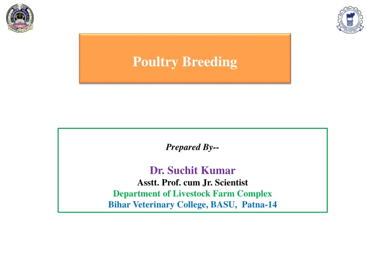 poultry breeding