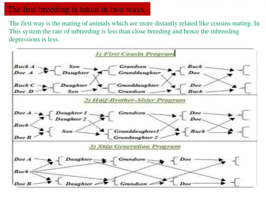 the line breeding is taken in two ways