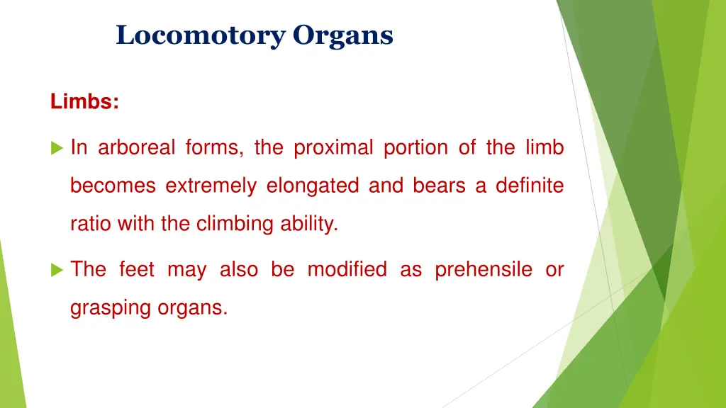 locomotory organs