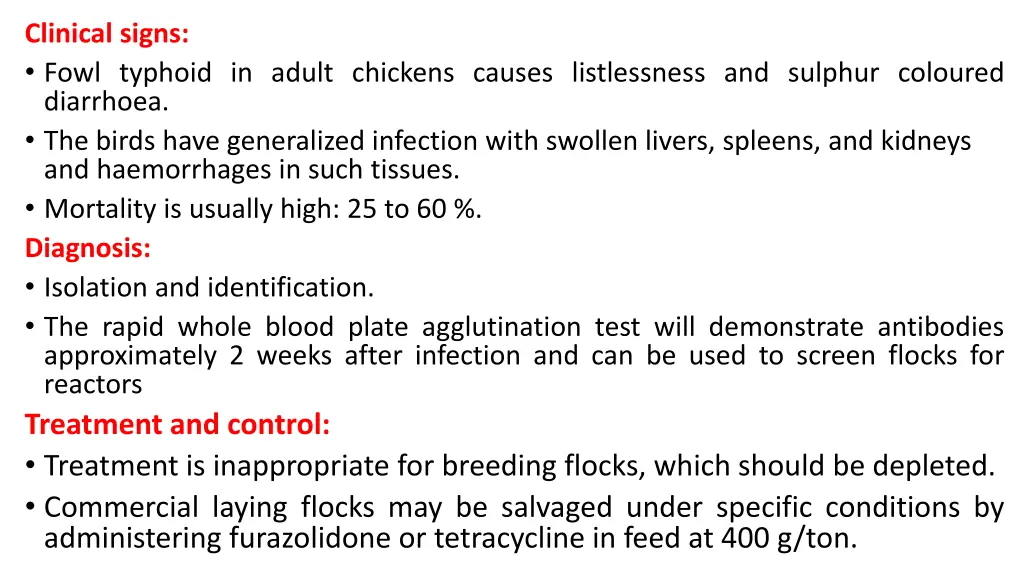 clinical signs fowl typhoid in adult chickens