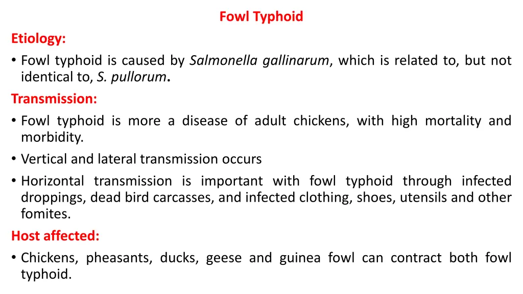 fowl typhoid