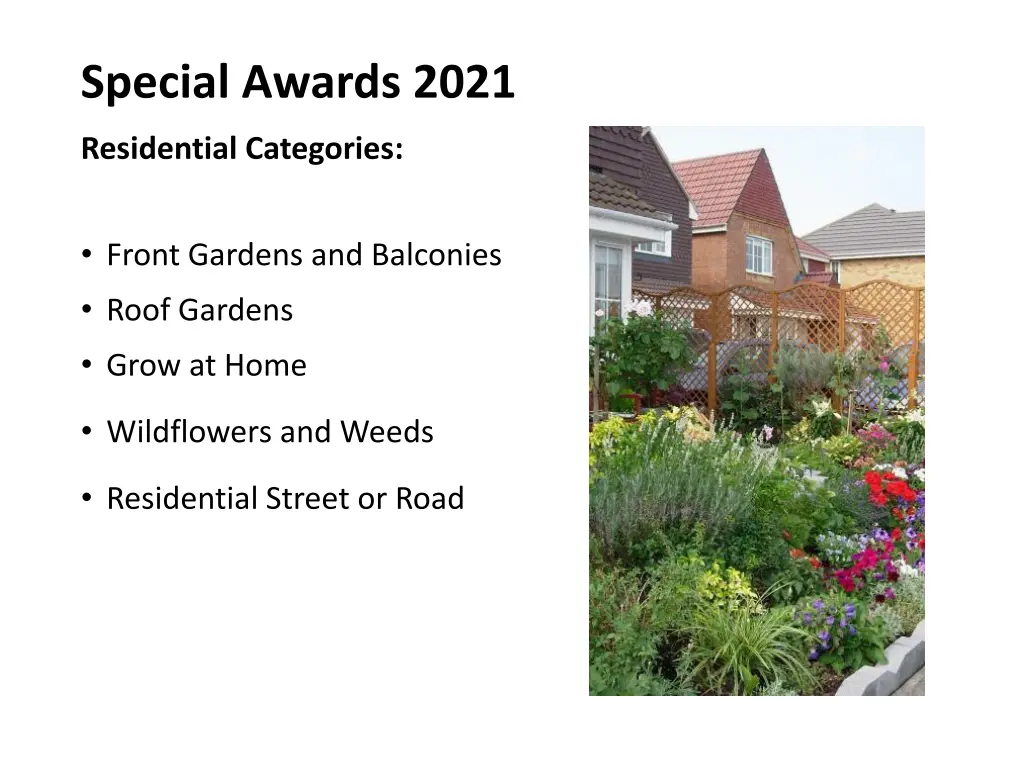 special awards 2021 1