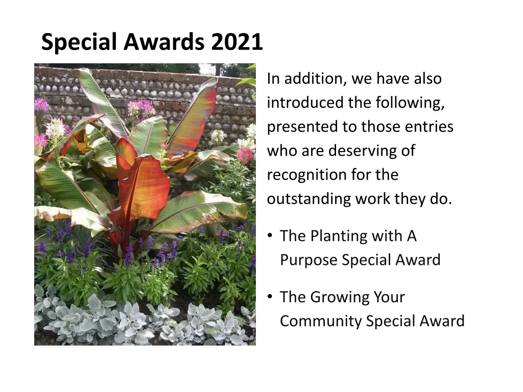 special awards 2021 2