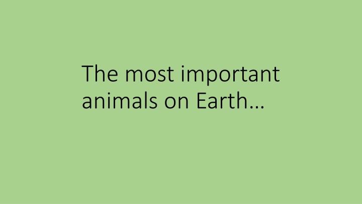 the most important animals on earth