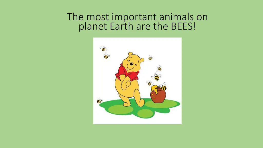 the most important animals on planet earth