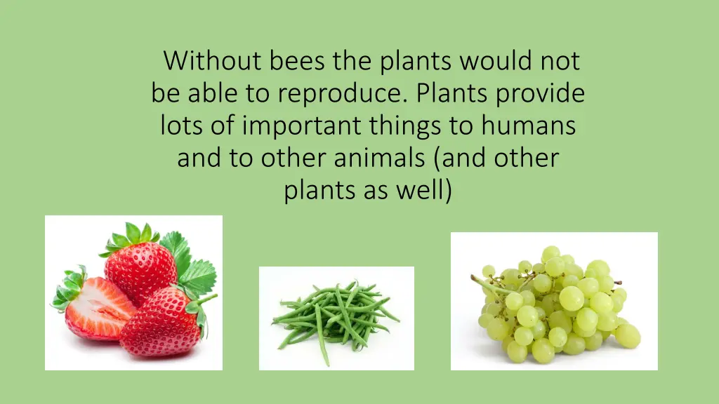 without bees the plants would not be able